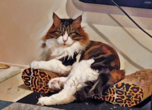 La llegada de Chacha